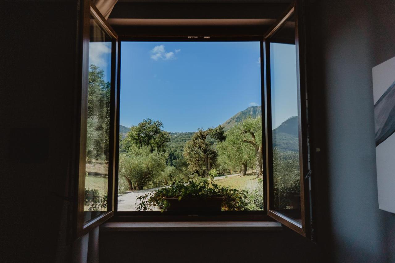 Tenuta Terre Di Bosco Oasi Di Relax Nel Cilento Сан-Джованни-а-Пиро Экстерьер фото